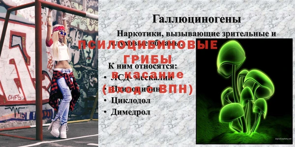 спиды Беломорск