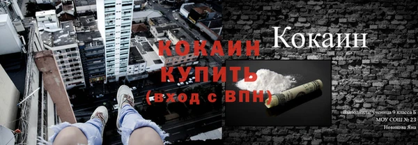 стаф Белокуриха