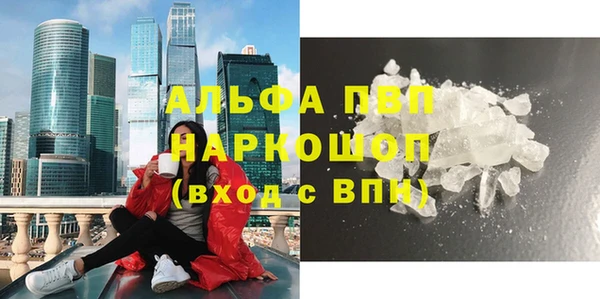 стаф Белокуриха