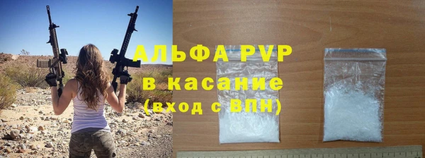 стаф Белокуриха